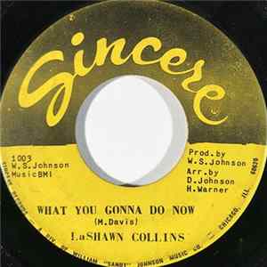 LaShawn Collins - What You Gonna Do Now FLAC