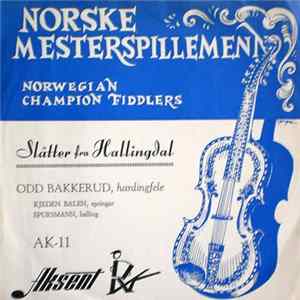 Odd Bakkerud - Norske Mesterspillemenn FLAC