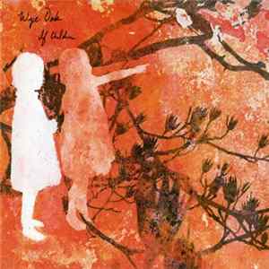 Wye Oak - If Children FLAC