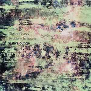 Digital Grass - Survivor In Schizopolis FLAC