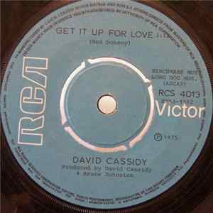 David Cassidy - I Write The Songs / Get It Up For Love FLAC