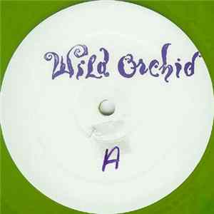 Wild Orchid - Talk To Me FLAC