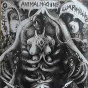 Luxury Mollusc / Ontervjabbit / Animal Machine - Luxury Mollusc / Ontervjabbit / Animal Machine FLAC