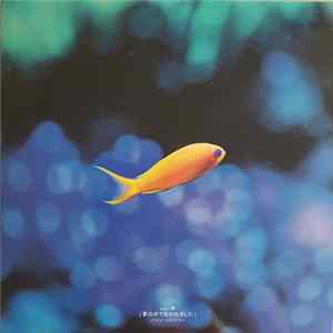 saki 夢 - [夢の中で失われました] Vinyl Edition FLAC