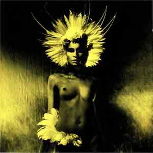 Unkle - Where Did The Night Fall: Another Night Out FLAC
