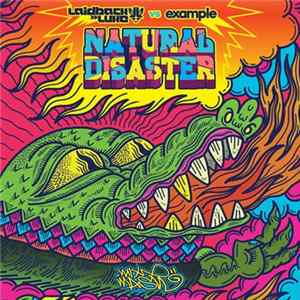 Laidback Luke vs Example - Natural Disaster (Remixes) FLAC