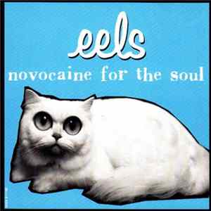 Eels - Novocaine For The Soul FLAC