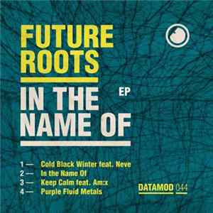 Future Roots - In The Name Of EP FLAC