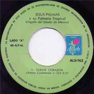 Jesus Palmas Y Su Palmera Tropical - Vuelve Corazon FLAC