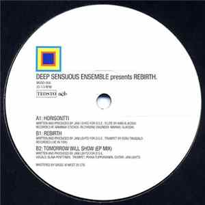 Deep Sensuous Ensemble - Rebirth EP FLAC