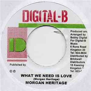 Morgan Heritage - What We Need Is Love FLAC