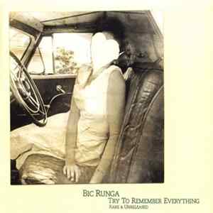 Bic Runga - Try To Remember Everything FLAC
