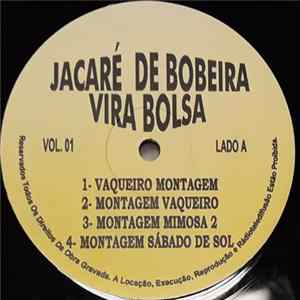 Various - Jacaré De Bobeira Vira Bolsa Vol. 1 FLAC