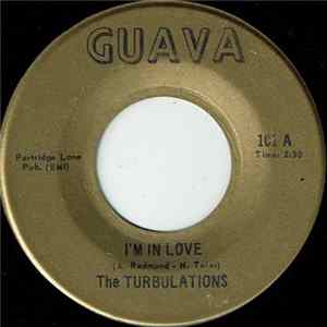 The Turbulations - I'm In Love/Everything Seems To Change FLAC