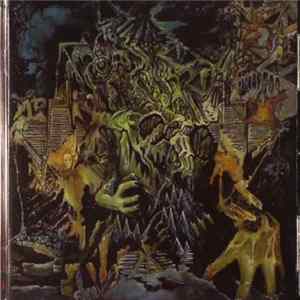 King Gizzard & The Lizard Wizard - Murder Of The Universe FLAC