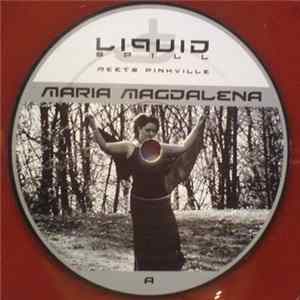 Liquid Spill Meets Pinkville - Maria Magdalena FLAC