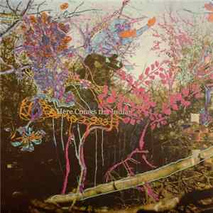 Animal Collective - Here Comes The Indian FLAC