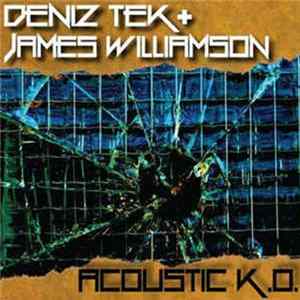 Deniz Tek + James Williamson - Acoustic K.O. FLAC