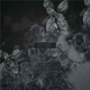Kardashev - The Almanac FLAC