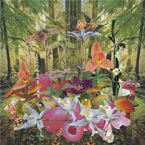 Monster Rally - Return To Paradise FLAC