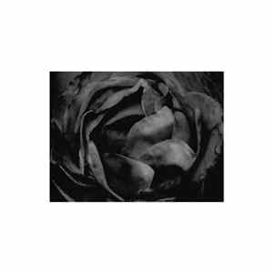 Cio D'Or - All In All FLAC