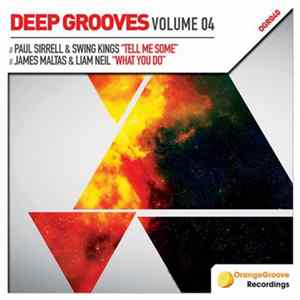 Various - Deep Grooves Volume 04 FLAC