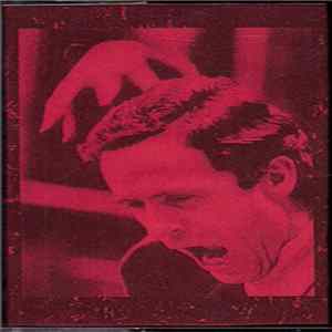 Various - We Like Folk Noise, Who Cares, Destroy Us FLAC