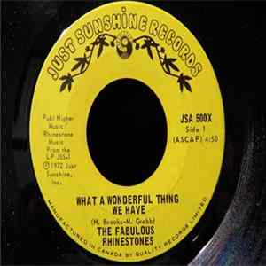 The Fabulous Rhinestones - What A Wonderful Thing We Have / Nothing New FLAC
