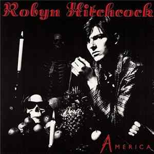 Robyn Hitchcock - America FLAC