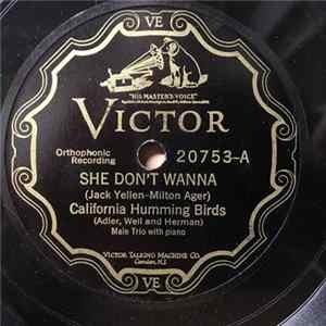 California Humming Birds - She Don't Wanna / The Whisper Song FLAC