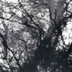 Grouper - Way Their Crept FLAC