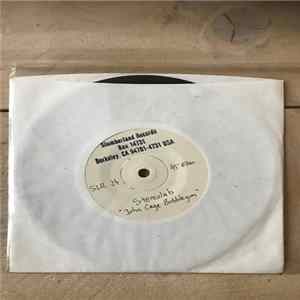 Stereolab - John Cage Bubblegum FLAC