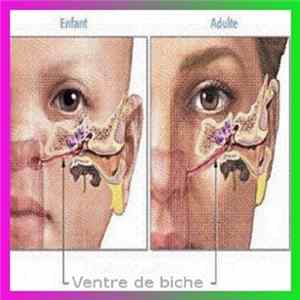 Ventre De Biche - Demo 02.2012 FLAC