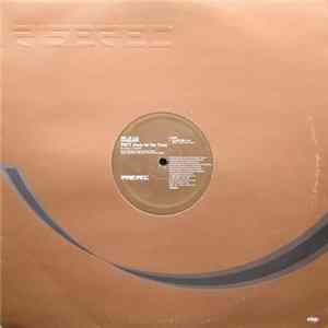 Sharam - Patt (Party All The Time) FLAC