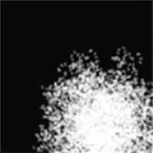 Rebel Star - So FLAC