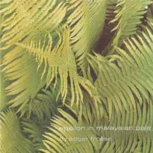 Edgar Froese - Epsilon In Malaysian Pale FLAC