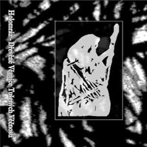 Holomráz - Dřevěné Věznice Tušených Věčností FLAC