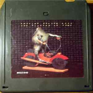 The Amazing Rhythm Aces - Too Stuffed To Jump FLAC