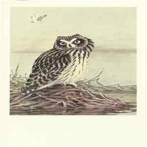 No Artist - Short-Eared Owl FLAC