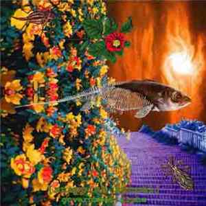 Government Alpha - Snappish Saurel FLAC
