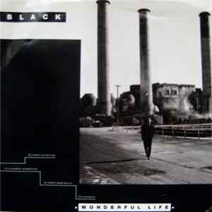 Black - Wonderful Life FLAC
