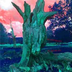 The Wood Demons - The Lost Domain FLAC