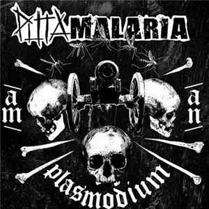 Puta Malaria - Plasmodium FLAC