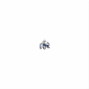 Sebastopol - Assassin FLAC