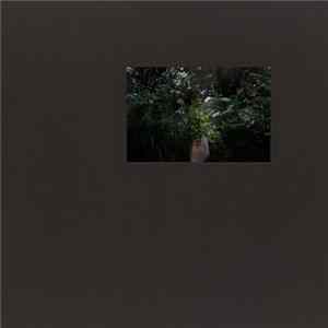 Amond - Fluent State FLAC