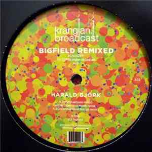 Harald Björk - Bigfield Remixed FLAC