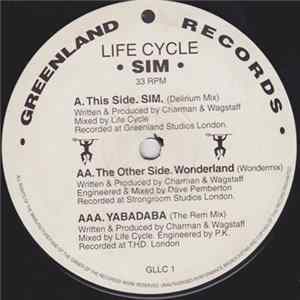 Life Cycle - Sim FLAC