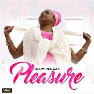 Olumireggae - Pleasure FLAC