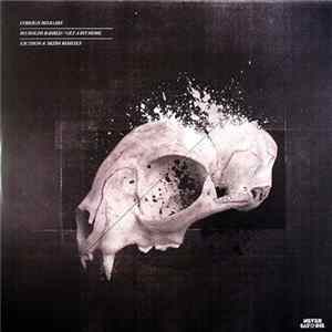Foreign Beggars - No Holds Barred / Get A Bit More (Remixes) FLAC