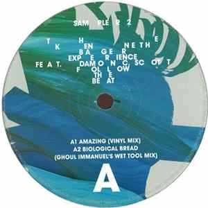 The Kenneth Bager Experience - Follow The Beat Sampler 2 FLAC